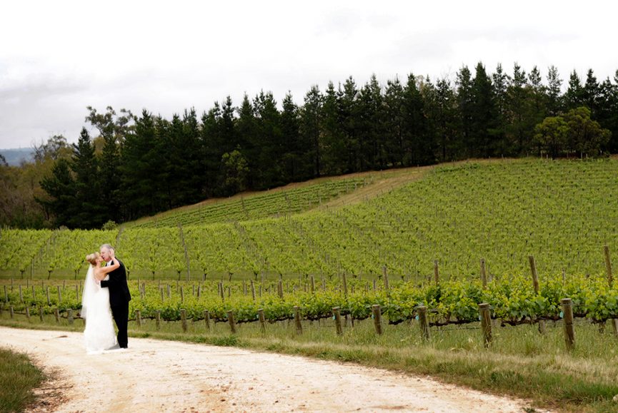 Adelaide, hills, The Lane, Vineyard, beautiful, Australia, bride, groom, wine, trees, photography, greenery, nature, black, suit, white, shirt, dress, veil, hair, up-do, style, love, veil, wood