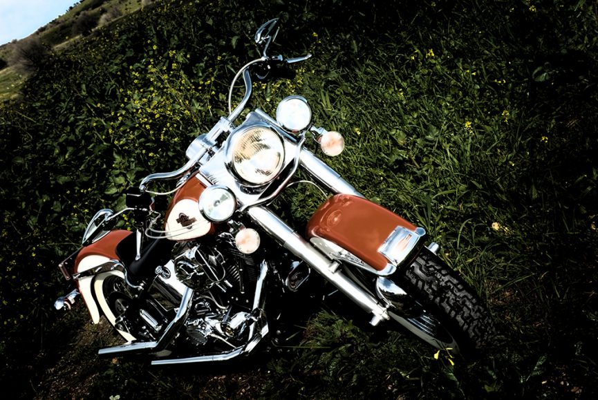 Harley Davidson, motorbike, location photography, Adelaide, South Australia, Nature, beautiful, country, scenery, photographer